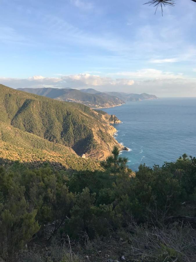 La Casa Di Ester Lavagna Exteriér fotografie